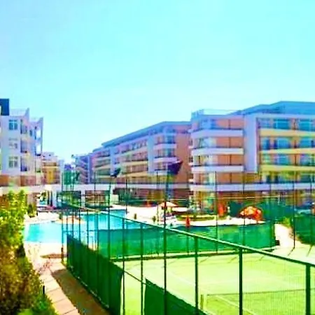 Grand Kamelia Sunny * 써니비치